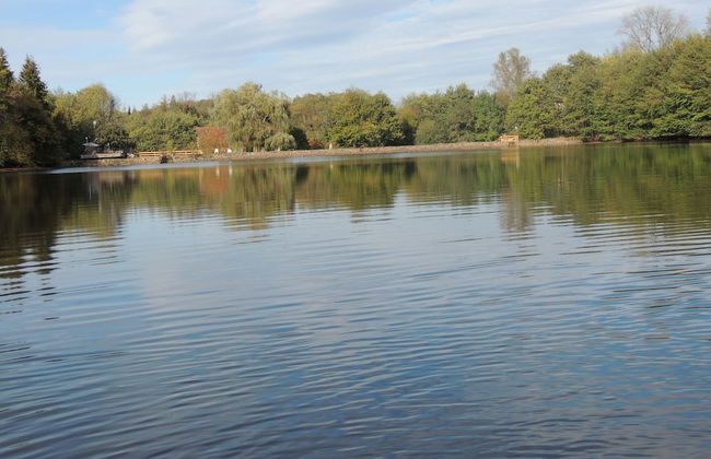 Gite de 9 - Le Tournesac - Foto 9