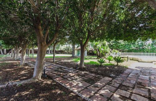 Cortijo EL LLANO - Foto 22