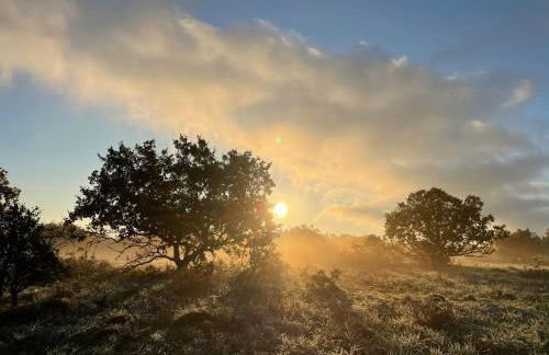 DONNAPAOLA MODERN FARM - Foto 59