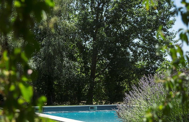 Casa de Santo António de Britiande - Foto 25