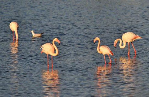 Appartamento Vacanza - Foto 18