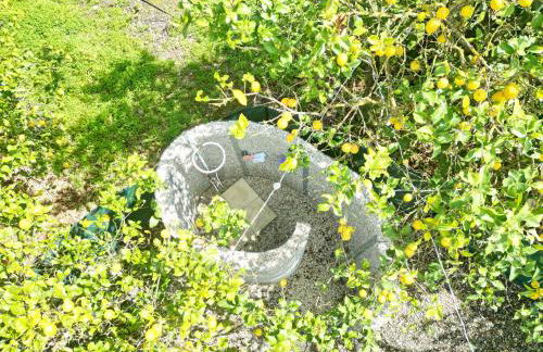 Lemon Garden Camper - Photo 8