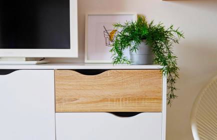 Blau d´Or Peñiscola - Photo 4