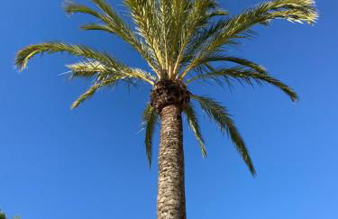 Casa Lila Javea - Foto 65