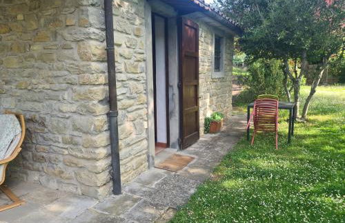 Agriturismo PEDROSOLA - Photo 10