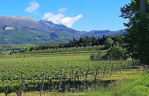 APPARTAMENTO AL FORTE - Photo 40