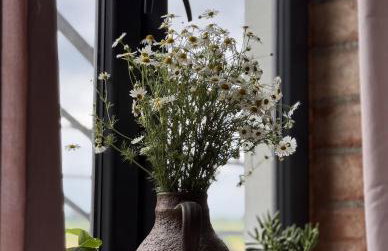 Agroturystyka Grodzisko - Foto 1