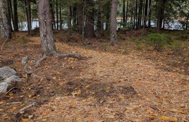 Contemporary Lakehouse in Lakeville - Foto 44