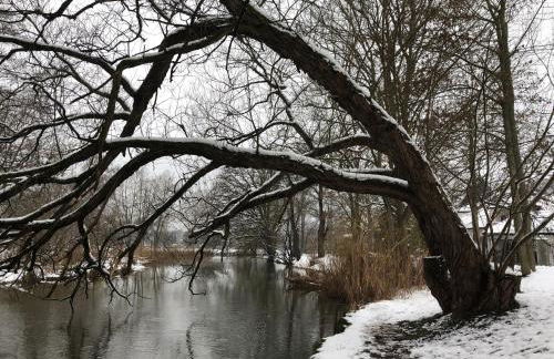 Ferienwohnung "Altes Schloss Wilhelmsfeld" - Foto 22