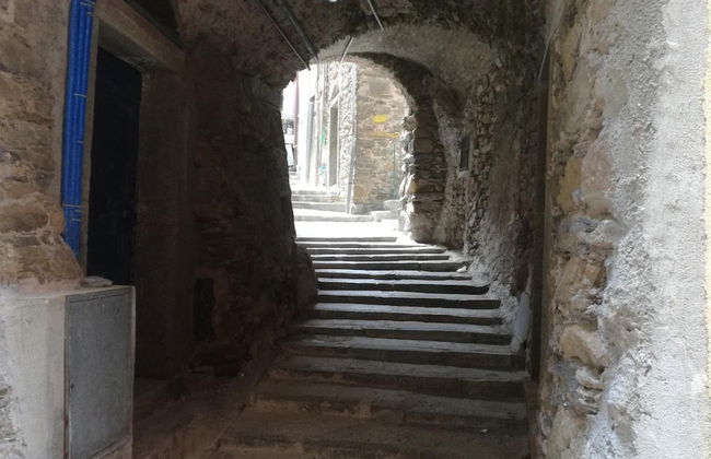 Ca' dei Lisci-B&B - Foto 31