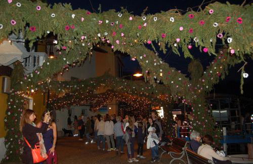 holiday on the island - Foto 52