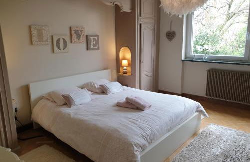 La Tour de l'Ill - Foto 18