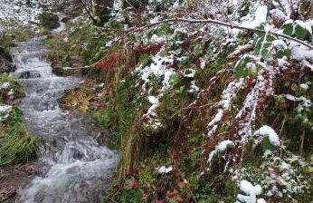 Tannenhuegel Residenz - Foto 19