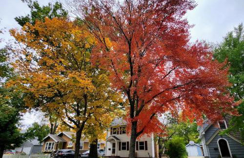 Quiet home Walk to ISU Jack Trice - Foto 31