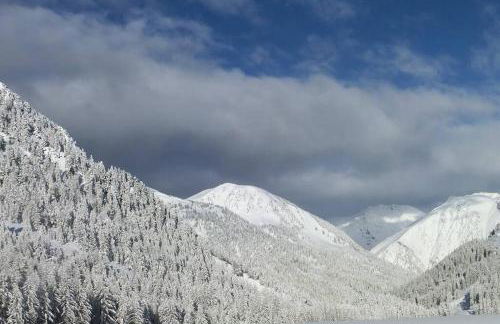 Appartement studio front de neige, accès direct aux pistes - Photo 20