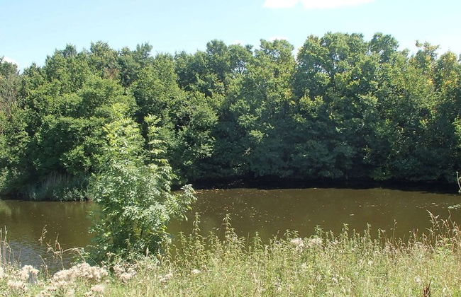 Boutique Apartment in Ritthem With Terrace - Photo 25