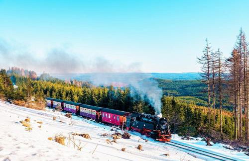 Ferienhaus Nr 32, Typ A, Ferienanlage Blauvogel, Hasselfelde, Harz - Foto 30