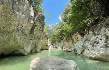 Olive Garden Studio - Foto 30