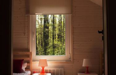 Babie Lato - Foto 49