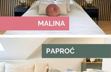 Apartamenty Paproć i Malina - 300 metrów do centrum - Foto 1