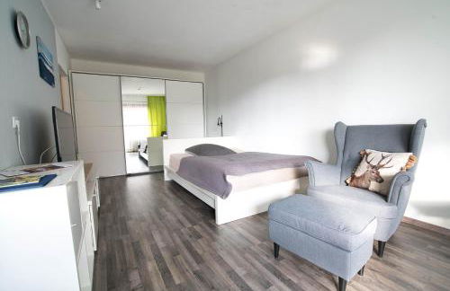 Gaishöll-Wasserfälle Apartment Schwarzwald - Foto 37