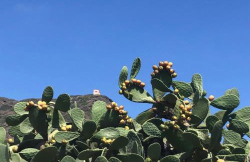 Accogliente Bilocale Linosa - Foto 33