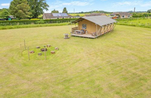 Fallow - Uk47397 - Foto 1