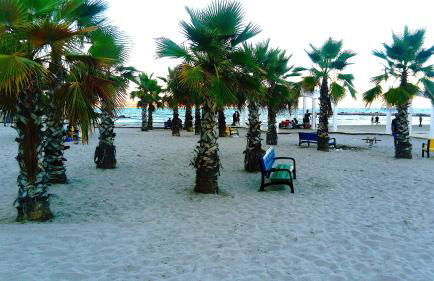 Alicante Central Apartment - Photo 51