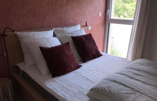 Les 4 gites de la Saisse - Foto 23