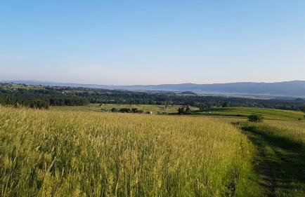 Antonówka - Foto 28