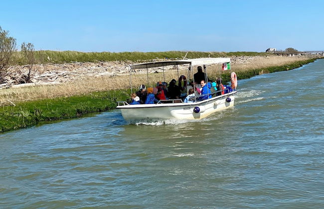 Agriturismo Tenuta Castel Venezze - Foto 48