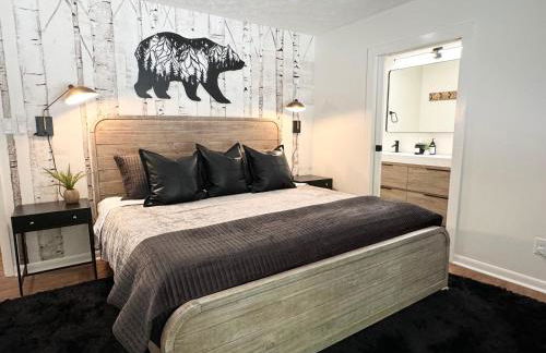 Biltmore Forest Retreat Sauna Hot tub Game Rm - Foto 24