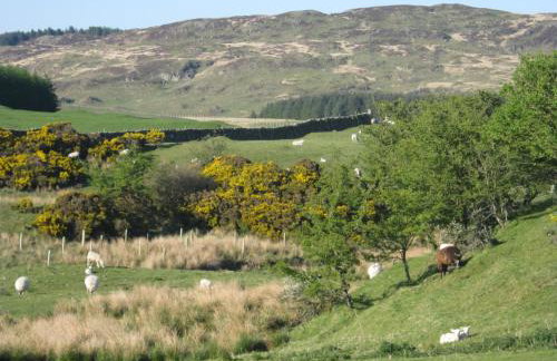 Barcloy Milk House - Foto 8