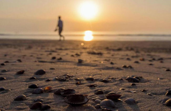 Comfortable Villa With Wifi, Near the Sea in Cosy Domburg - Foto 36