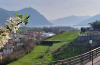 Casa Betty - Photo 30