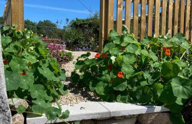 Bramble Cottage - Foto 6