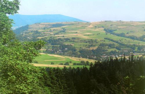 Gospodarstwo Agroturystyczne Watra - Foto 46