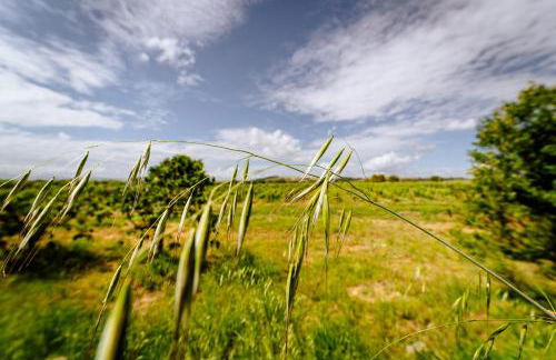 Villa Podere 109 - BioWine - Foto 22