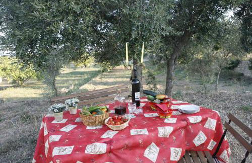 Hort de L'Aubert - Foto 24