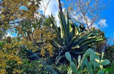 Etna panoramic villa with swimming pool - Foto 64