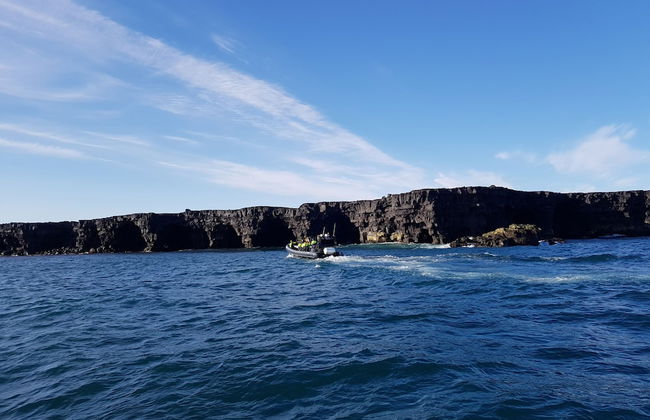 Black beach cottage - Foto 24