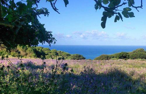 Charming house with sea and mountain views in El Chaparral - Foto 11