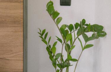 Willa Piwniczka Apartament Jahlowej - Foto 20