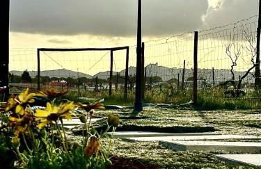 Refugio do Gato - Foto 3