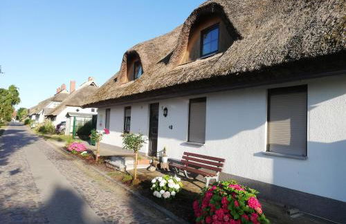 Haus - Meeresbrise - Foto 1