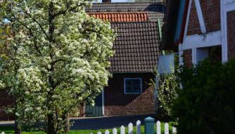 Ferienhof tom Diek - Foto 2, Garden