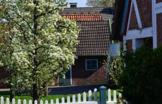 Ferienhof tom Diek - Foto 2