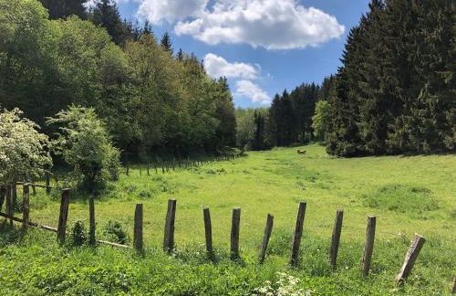 Holzhaus Onkel Fritz mit Sauna und Whirlwanne - Foto 28