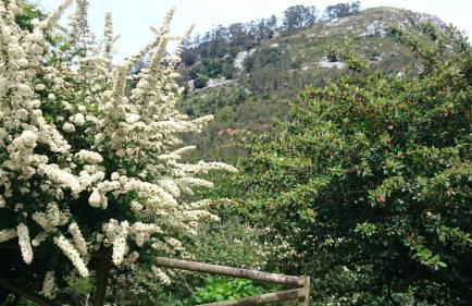 Los Acebos de Peña Cabarga, Cúpula experiencias - Foto 54