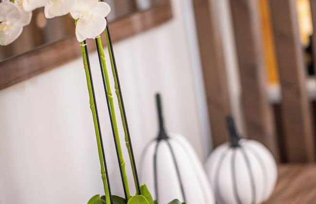 Anna Suites - Foto 13